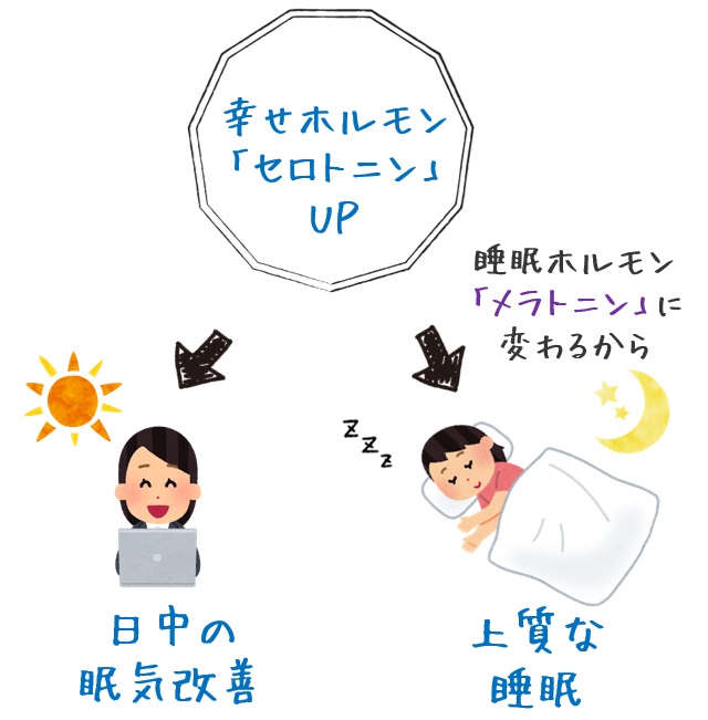 セロトニン